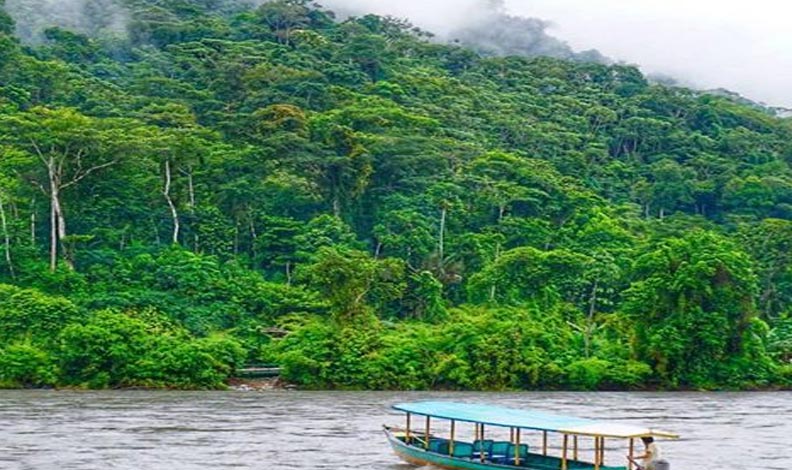 manu reserve Peru