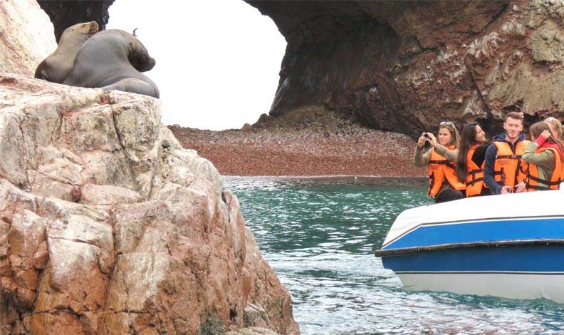 Tour Paracas Lima